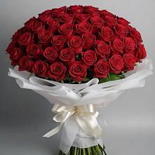 Букет 101 Красная роза Блэк Мэджик в Думиничи