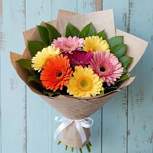 Букет цветов из:  Герберы #REPLACE_PRED# Думиничи