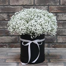 Цветочная композиция из Гипсофила в шляпной коробке в Думиничи