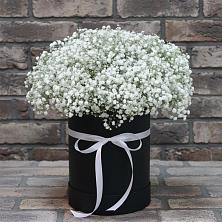 Цветочная композиция из Гипсофила в шляпной коробке в Думиничи
