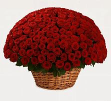 Премиум букет из: Розы в Думиничи